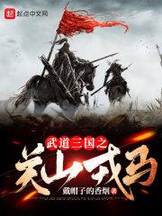 武道三國之關山戎馬