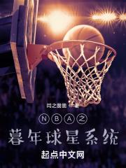 NBA之暮年球星系統